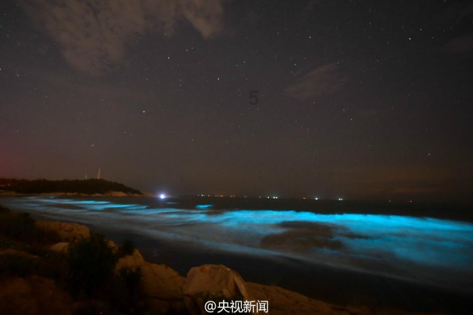 救援小袋熊